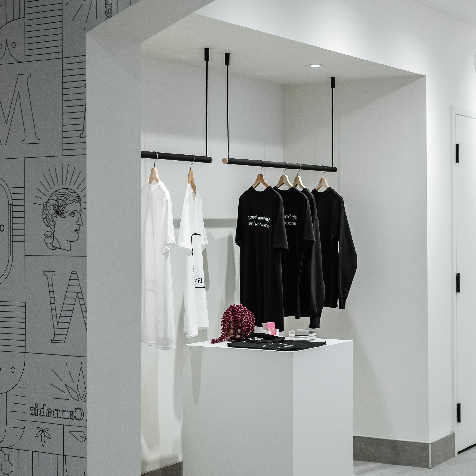 Ceiling Mounted Clothing Racks